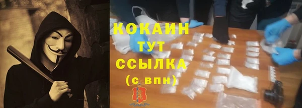 spice Пестово