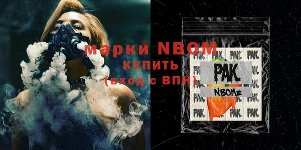 хмурый Пересвет