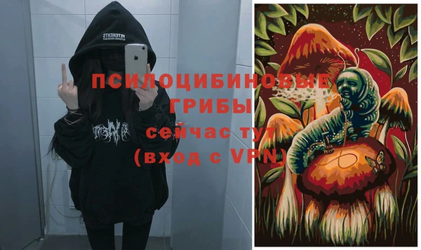 spice Пестово